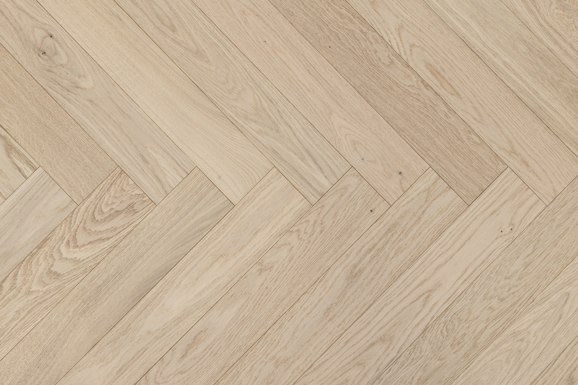 Spina italiana GRE016B